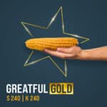 Greatful Gold