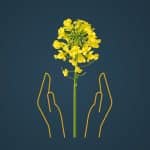 HUMBOLDT 1 Key Visual Humboldt 2026