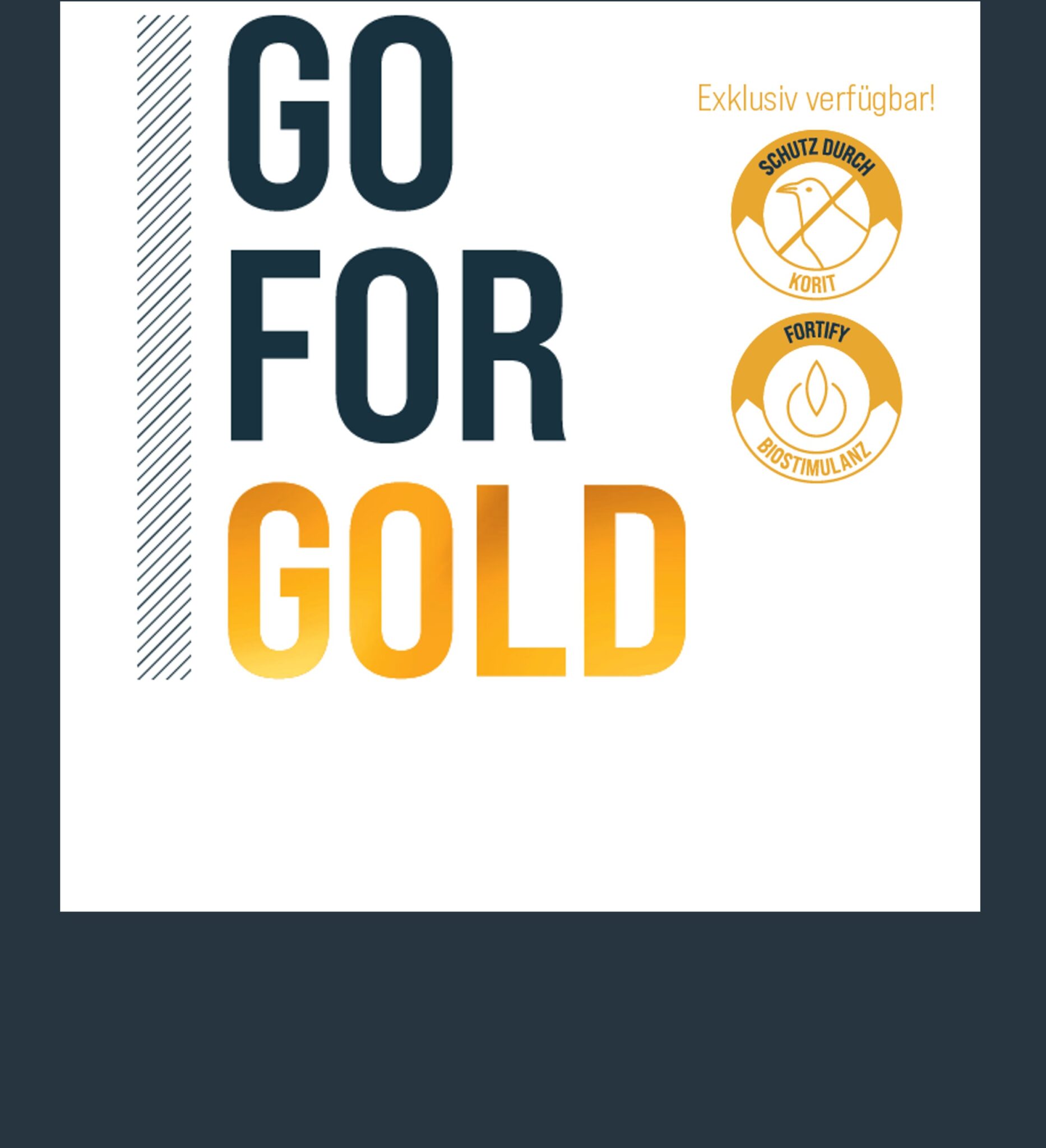 Bild Go for Gold Mais 2025 1 scaled