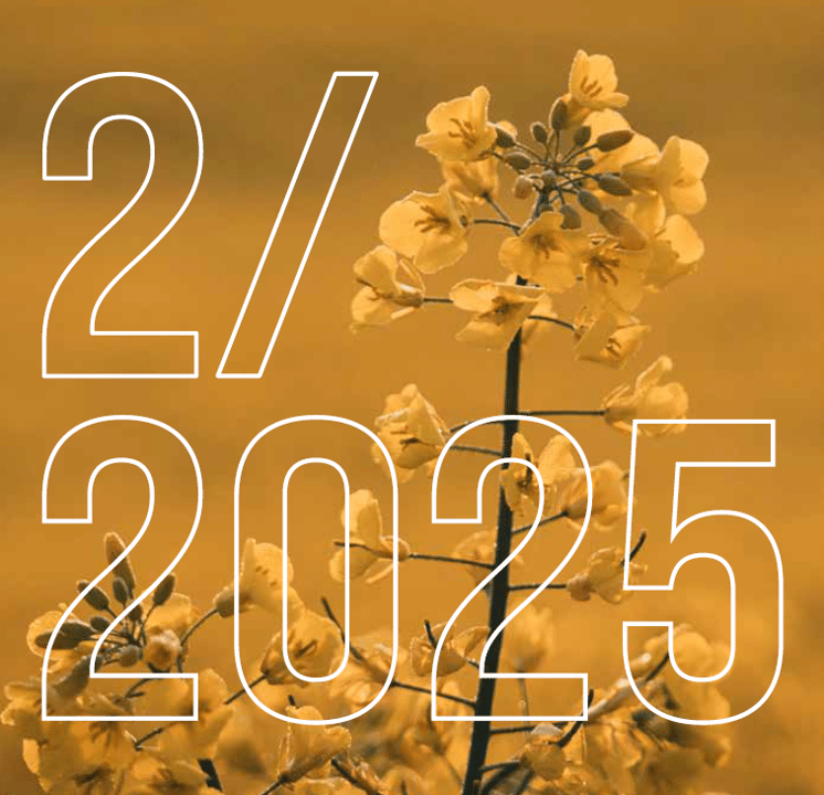Titelbild SI 02 2025