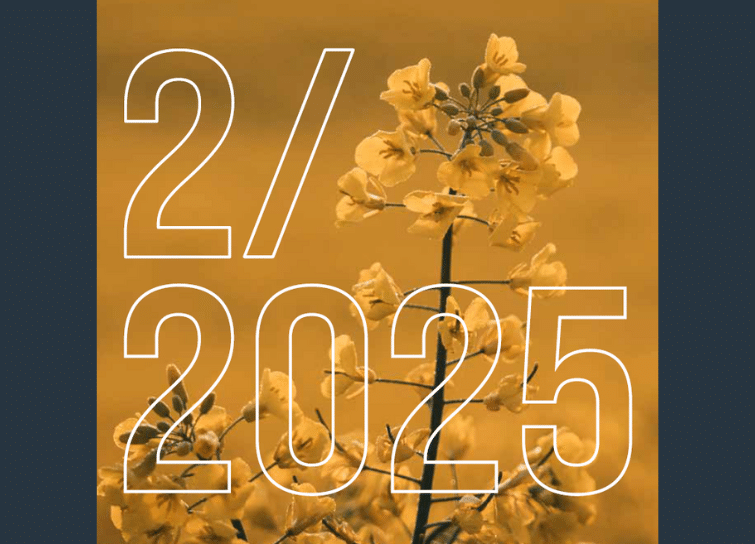 SI 2 2025