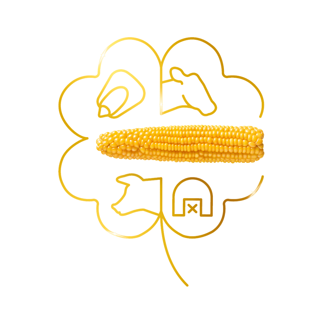 Silvio KeyVisual freigestellt