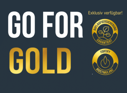 Bild Downloads Gold-Edition Raps