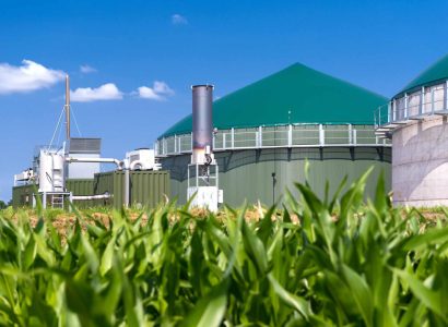 Biogasanlage mit Maisfeld 3137