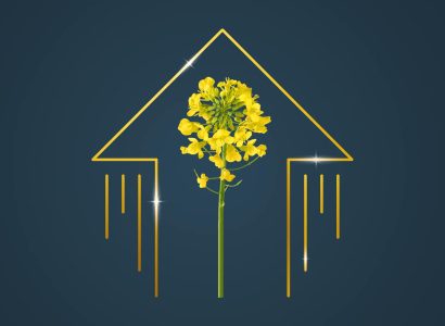 Key Visual_Blackberry_GOLD