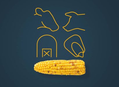 Key Visual_Exxon_2025