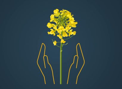 Key Visual_Humboldt_2026