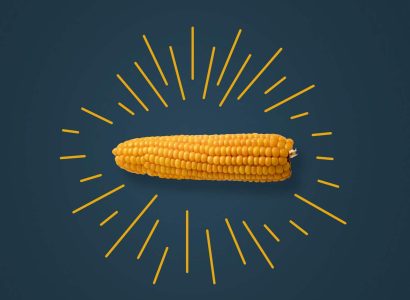 Key Visual_RGT Rancador