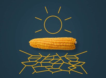 Key Visual_Smartboxx