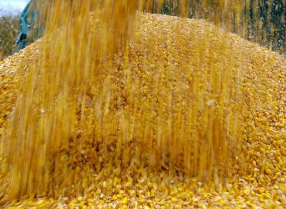 Körner 46CD 048 klein