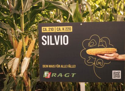 Silvio Maisfeld 2024