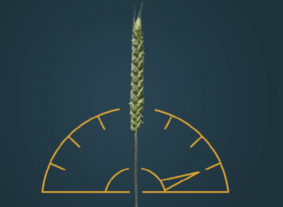 RGT Kreuzer KeyVisual